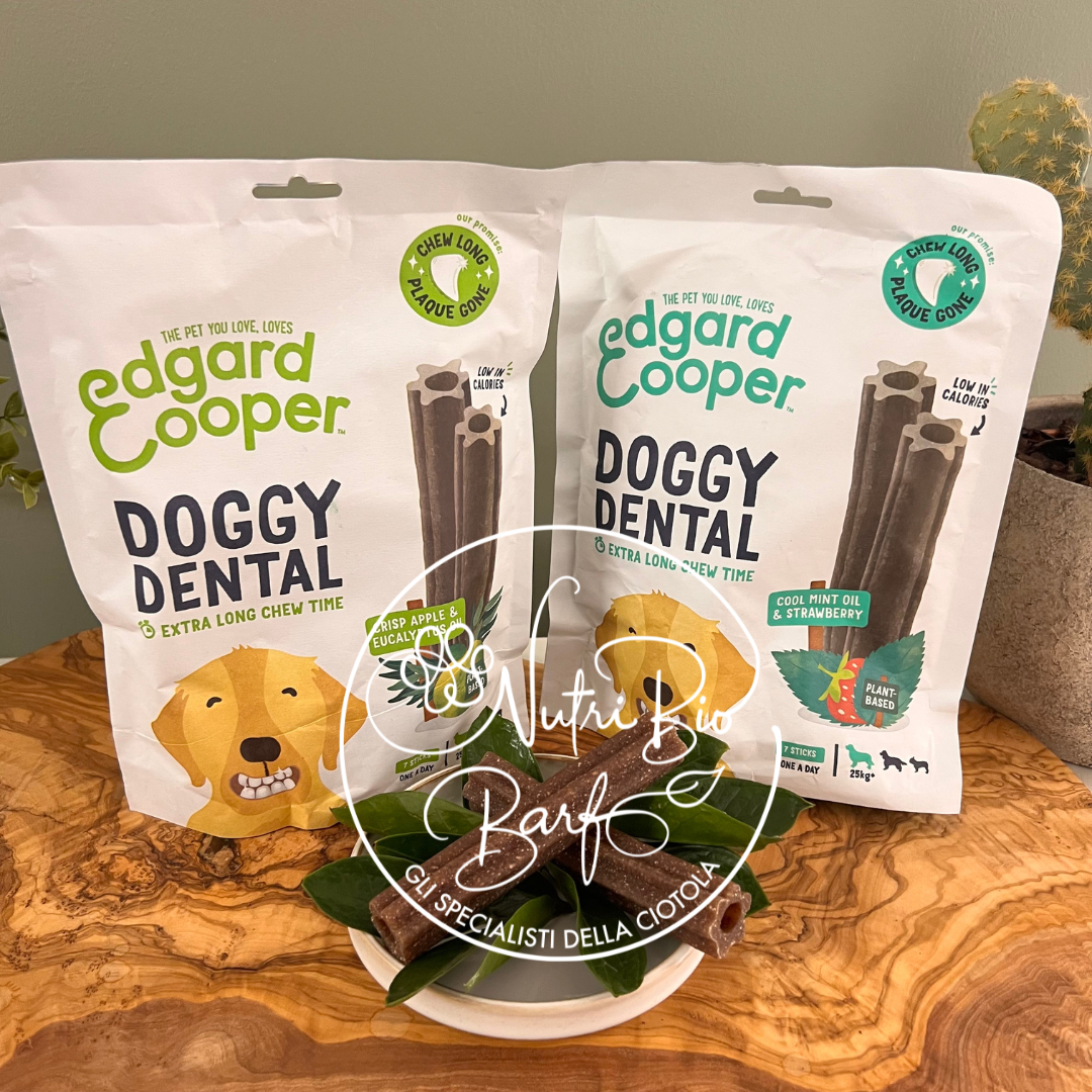 Doggy Dental