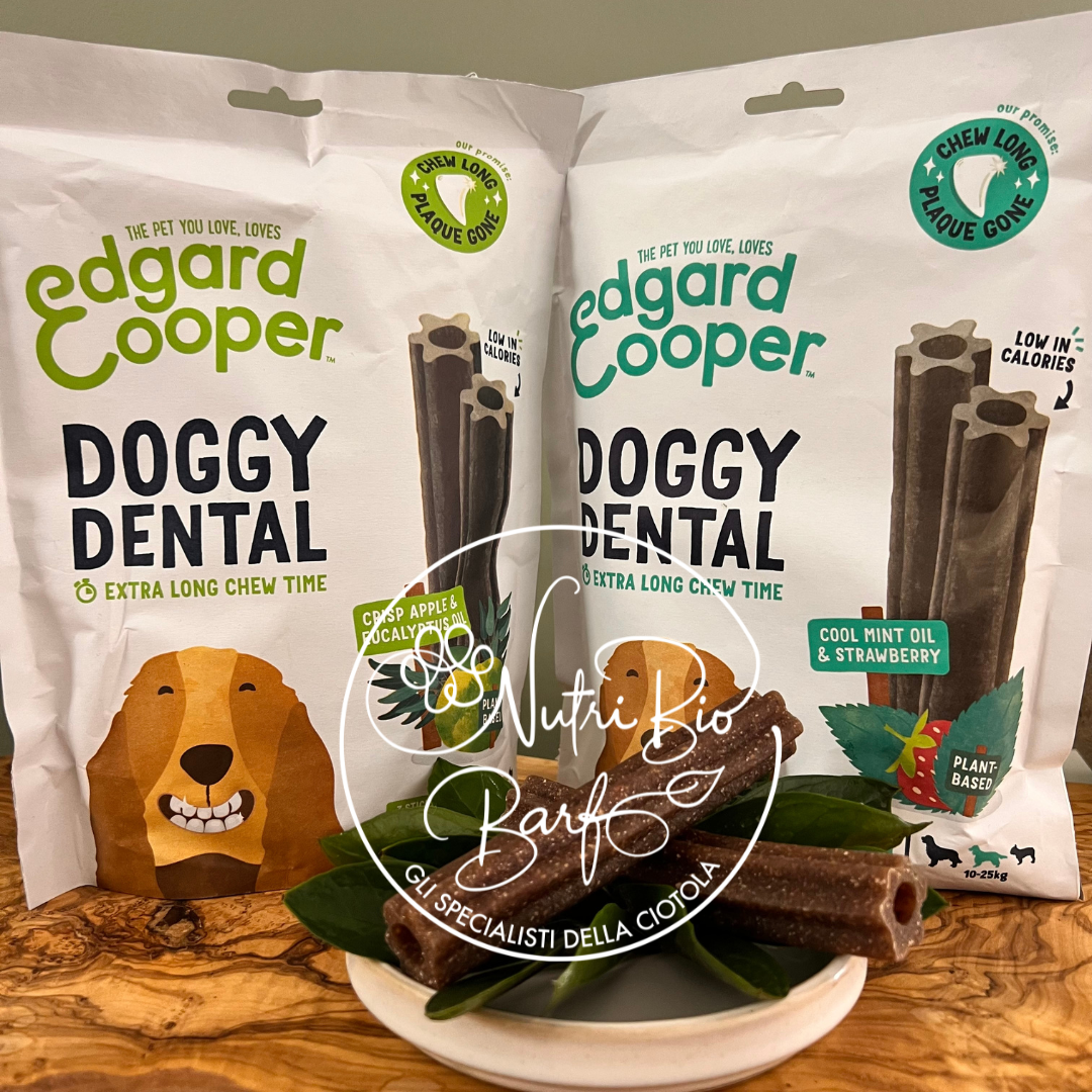 Doggy Dental