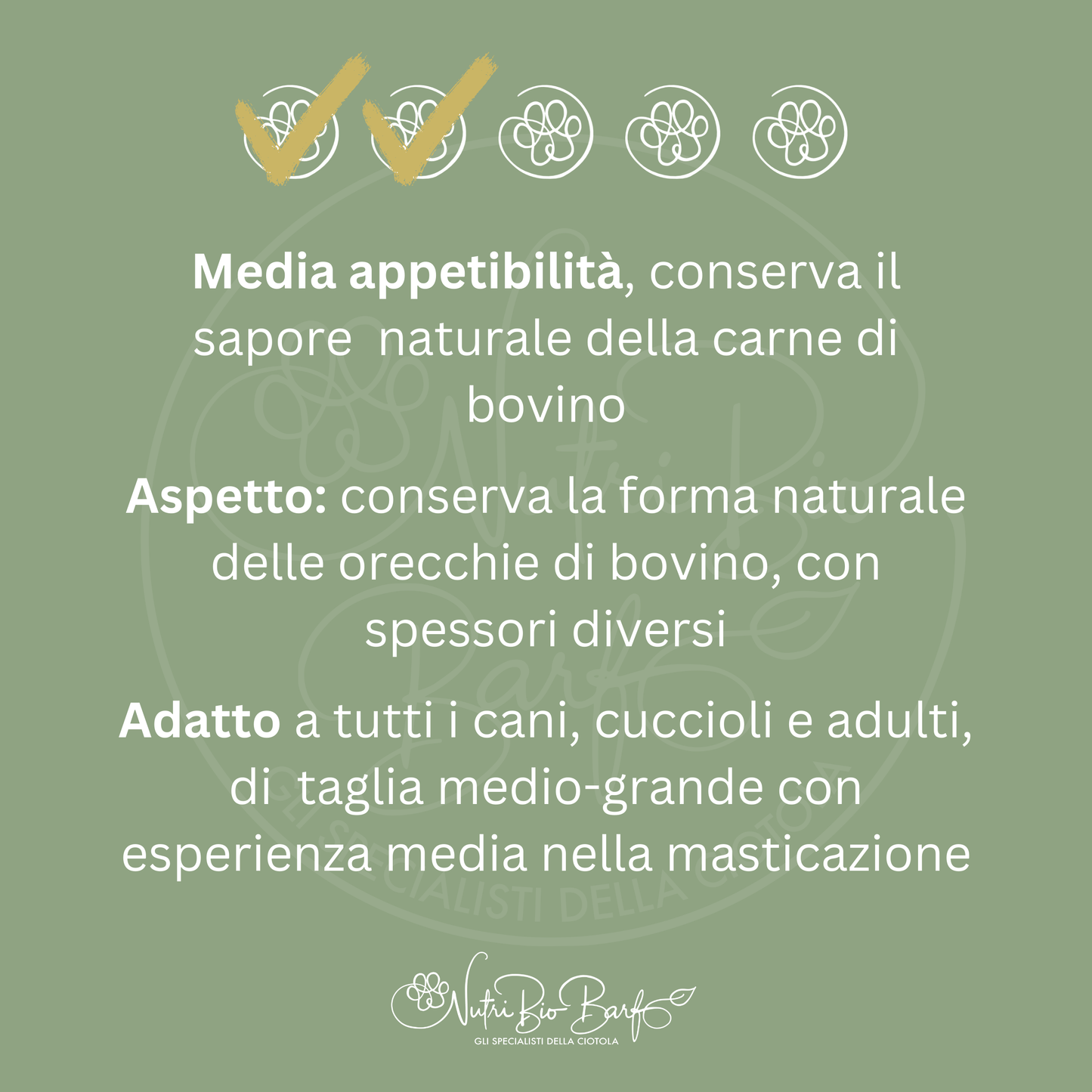 Orecchio di bovino