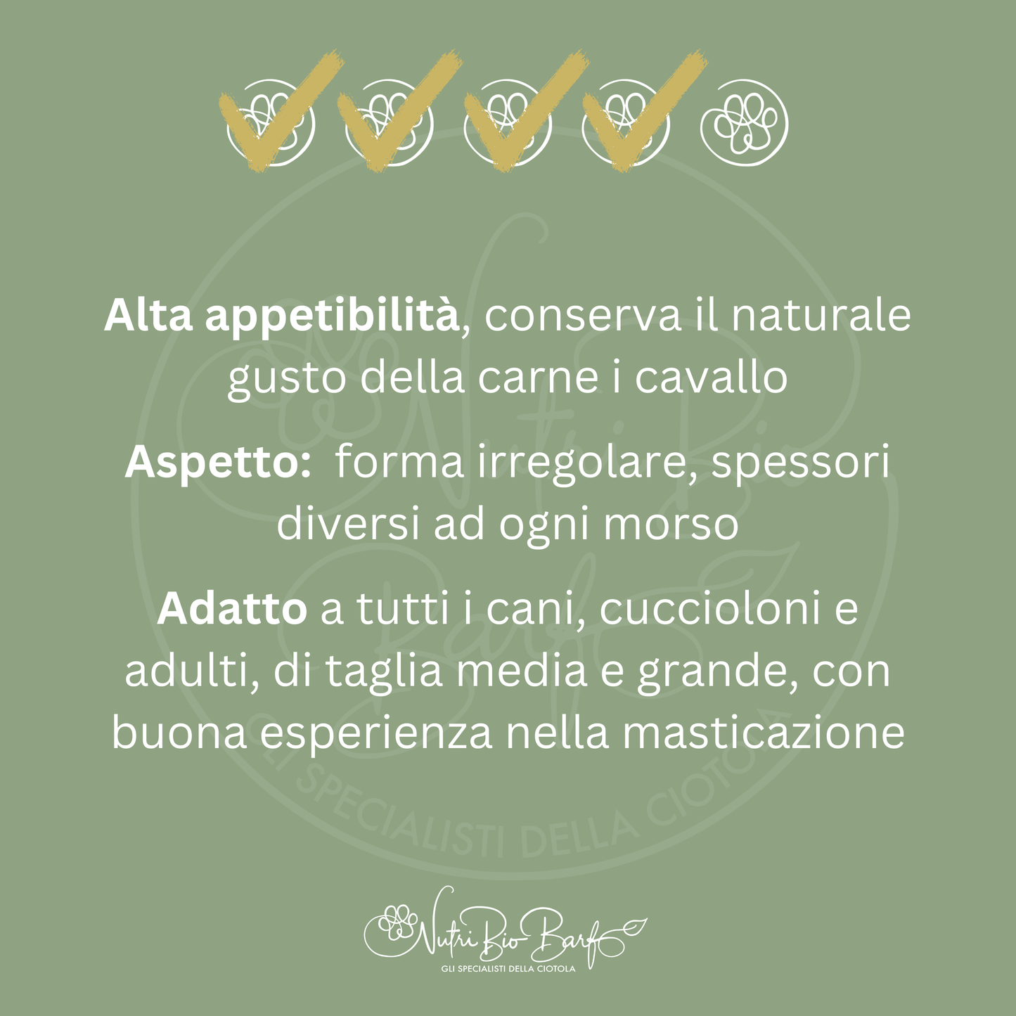 Tendine di cavallo