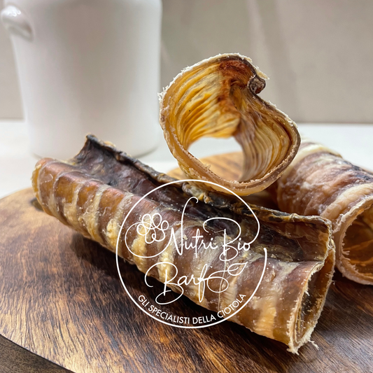 Trachea di manzo