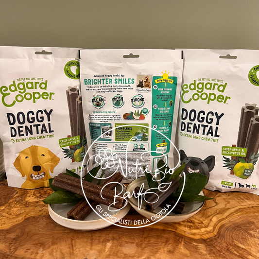 Doggy Dental