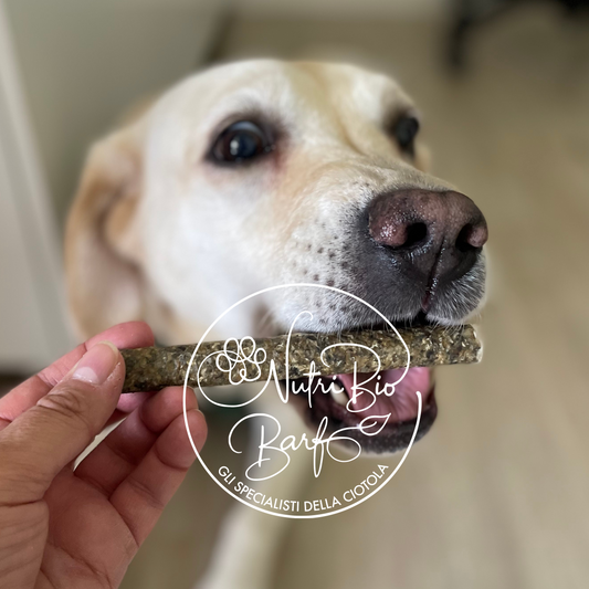 Stick di merluzzo