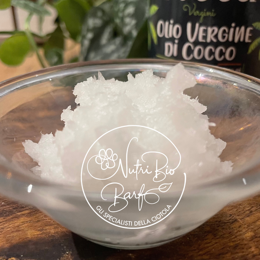 Olio vergine di Cocco BIO 200 ml
