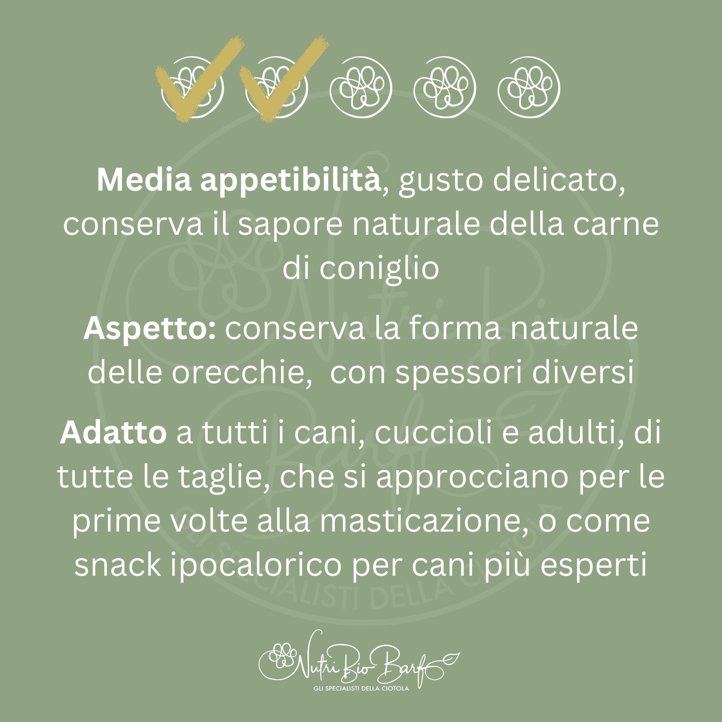 Orecchio di coniglio