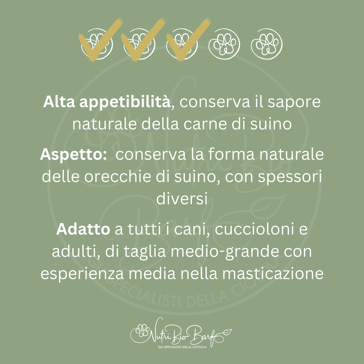 Orecchio di suino