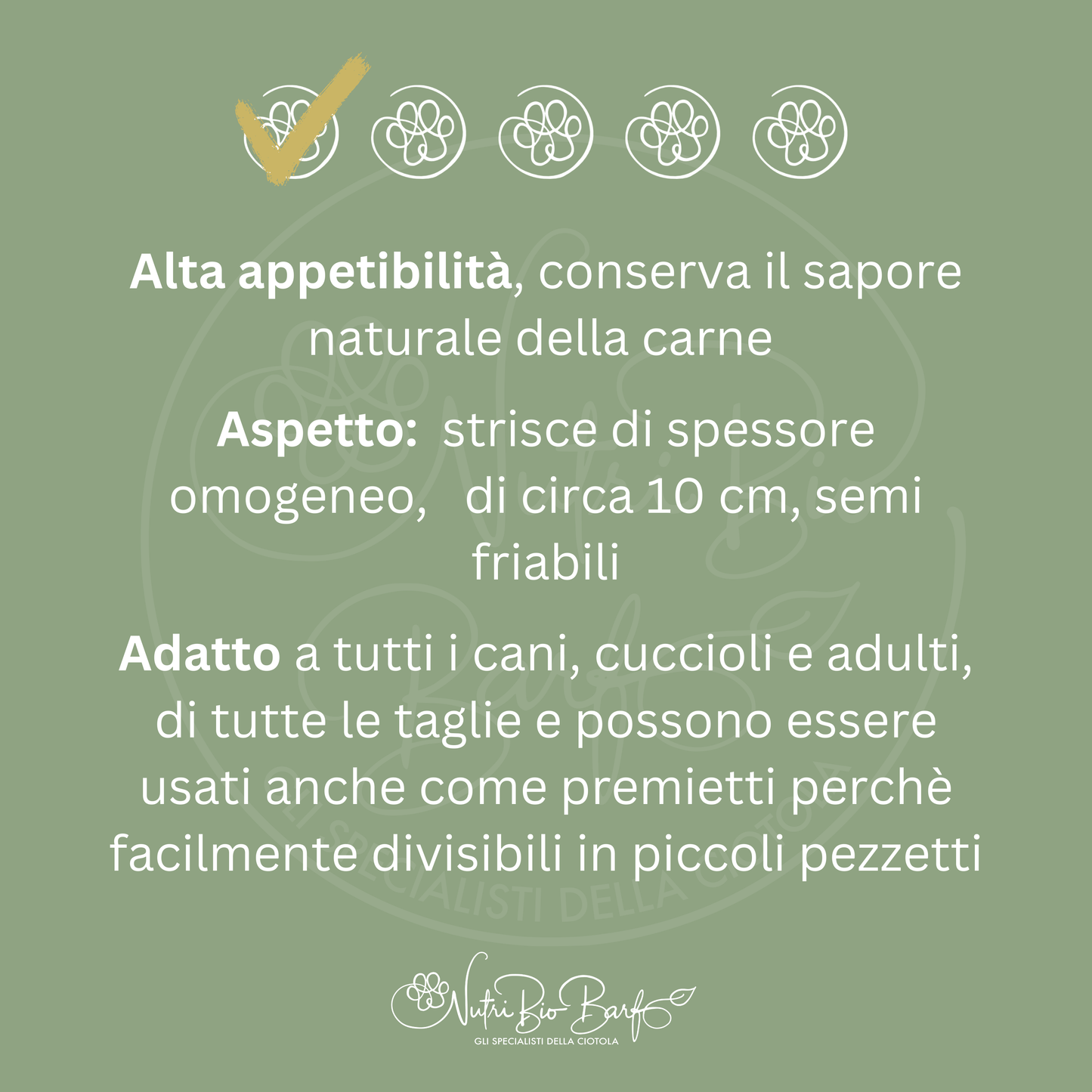 Strisce di carne essiccata