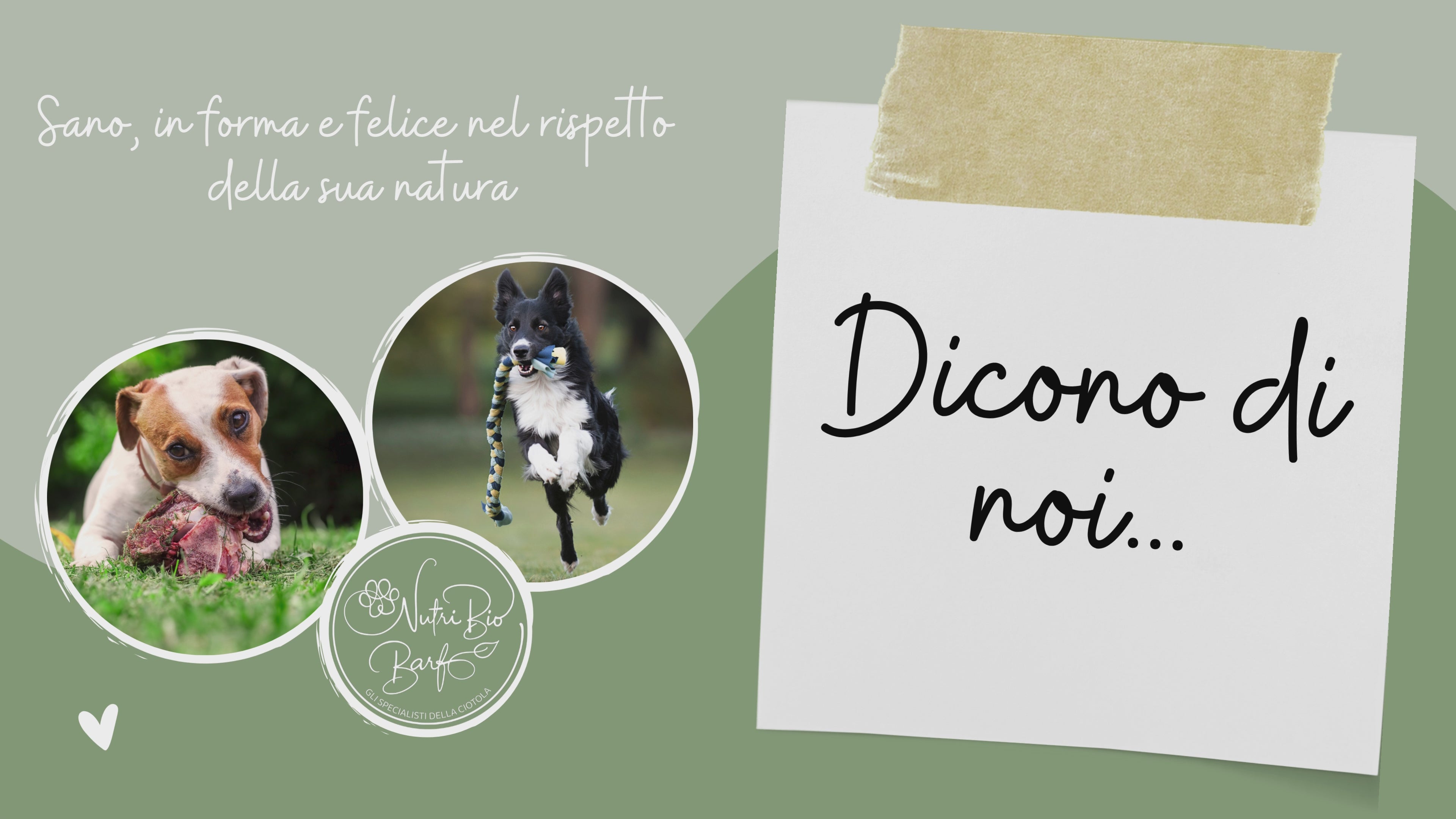 Carica il video: Dicono di noi, recensioni.
